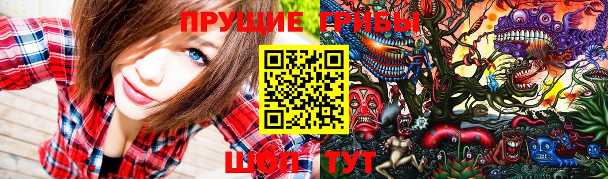 Среднеуральск  Псилоцибиновые грибы Magic Shrooms  Вход с VPN 
