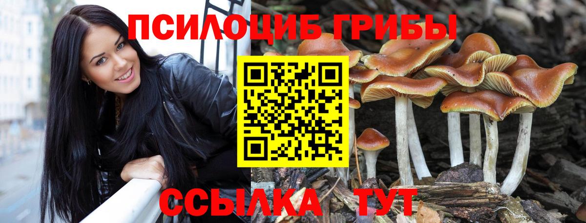 Галлюциногенные грибы Psilocybine cubensis Среднеуральск